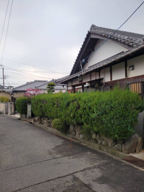 岸和田市で庭木の伐採・フェンス工事を行いました｜ビフォーアフターでご紹介